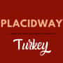 PlacidWay Turkey Medical Tourism