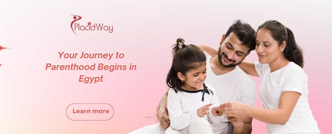 IVF in Egypt thumbnail