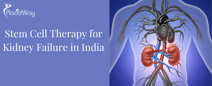 Stem Cell Therapy for Kidney Failure in India