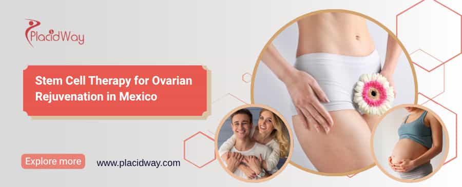 Stem Cell Therapy for Ovarian Rejuvenation in Mexico thumbnail
