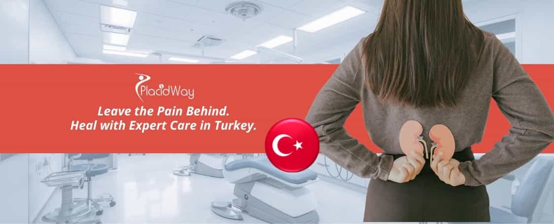 Kidney Stones Removal Surgery in Turkey thumbnail