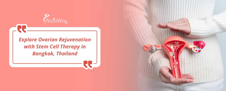 Stem Cell for Ovarian Rejuvenation in Bangkok, Thailand thumbnail
