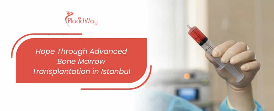 Bone Marrow Transplantation in Istanbul, Turkey thumbnail