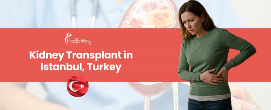 Kidney Transplantation in Istanbul, Turkey thumbnail