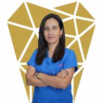 Dr. Gizem Cokcapar