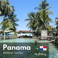 Is Genetic Testing for Embryos Available in Panama?