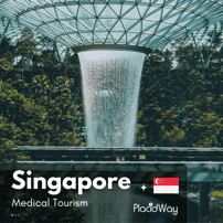 What is the Average Cost of Labiaplasty in Singapore?