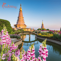 What is Included in Typical Thailand Medical Tourism Packages?