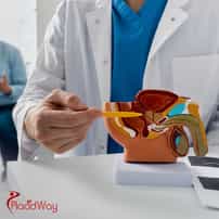 What country has the best urologists in the world?