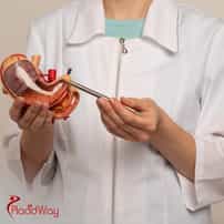 Which Bariatric Surgeons In Mexico Are Board-Certified?