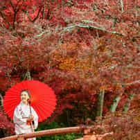 Which Clinic is the Best for Stem Cell Therapy in Japan