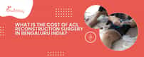 What Is The Cost Of ACL Reconstruction Surgery In Bengaluru India?