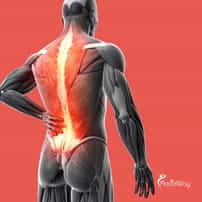 What Is the Cost of Stem Cell Therapy for Spine Arthritis in Mexico?