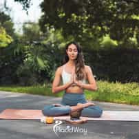 Why Is Forest Bathing Becoming the Go-To Nervous System Reset and the Biggest Nature Therapy Trend?
