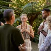 Why Are Cocooning Wellness Retreats Focused on Nervous System Regulation the Defining Trend?