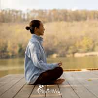 Why Is Mugwort Moxibustion (Yomogi) Becoming a Viral Experiential Wellness Trend Among Young Koreans?