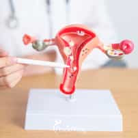How Much Does a Laparoscopic Hysterectomy Cost in Mexico for American Patients?