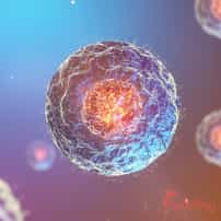 Where can I find the best stem cell therapy in Thailand?