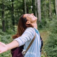 How Does Forest Bathing Reduce Cortisol Levels and Boost Natural Killer Cell Activity?
