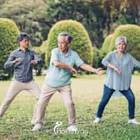 How Do NAD+ Therapy, Senolytics, and Stem Cell Treatments Work To Slow Aging?