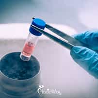 Is Stem Cell Therapy in Mexico Safe?