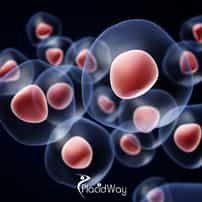 What is the Success Rate of NK Cell Therapy?