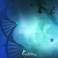 Can Foreigners Get NK Cell Therapy In Japan?