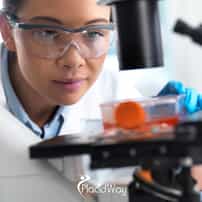 Where Can I Find the Cheapest Stem Cell Therapy in the World?