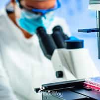 How Much Does Stem Cell Treatment Cost in Malaysia?