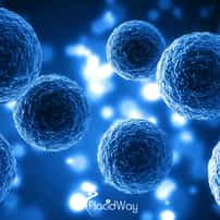 How Much Does Stem Cell Therapy Cost in Costa Rica Compared to the U.S.?