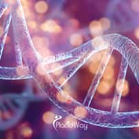 Why a Patient from Indonesia Traveled to Osaka, Japan for Stem Cell Therapy at Cell Grand Clinic