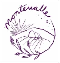 Montevalle Resort and Wellness Spa for Luxury Wellness Retreats