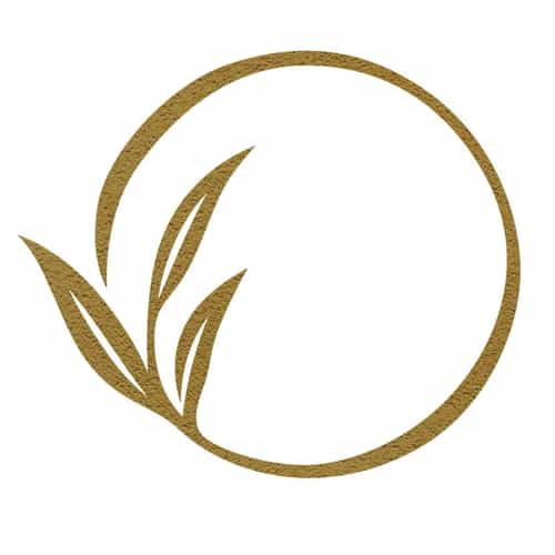 Oasis Premium Recovery - Addiction Rehabilitation in Spain