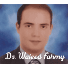 Dr. Waleed Fahmy-Online consultations-providing treatment sessions online.