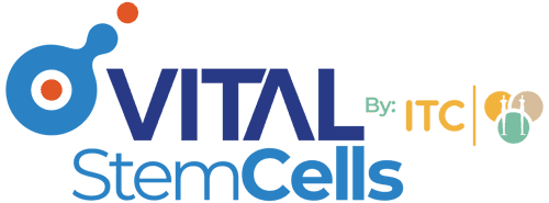 Vital Stem Cells - by ITC