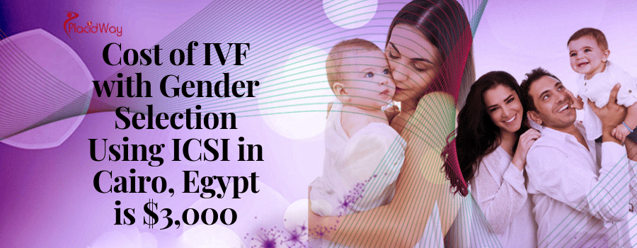 Cost of IVF with Gender Selection Using ICSI in Cairo, Egypt is $3,000