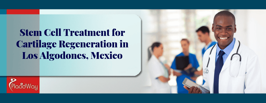 Stem Cell Treatment for Cartilage Regeneration in Los Algodones, Mexico