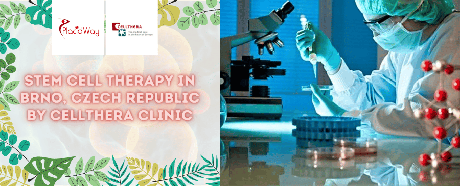 Stem Cell Therapy in Brno, Czech Republic by Cellthera Clinic