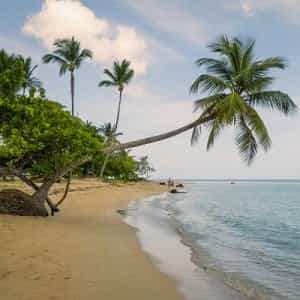 Avistamiento de ballenas en la bahía de Samaná
