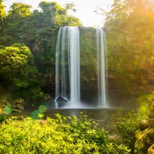 Green Tropical Jungle Costa Rica