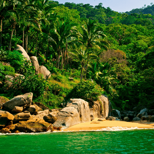 Tropical Beach Mexico