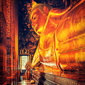 بوذا في وات سيناسانارام أيوثايا