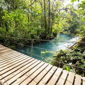 Costa Rica Jungle