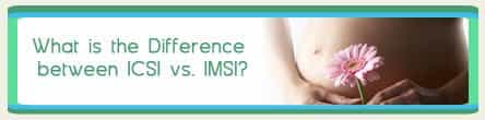 fertility-treatments-infertility-icsi-vs-imsi-procedures-difference fertility-treatments-abroad