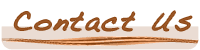 Contact Us - Placid Oman - Medical Tourism Services