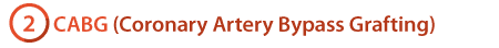 CABG (Coronary Artery Bypass Grafting) in Heryana, India