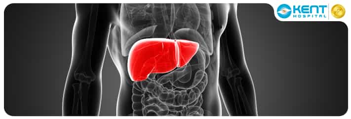 Liver Transplantation Turkey