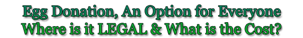 IVF With Egg Donation Options Abroad
