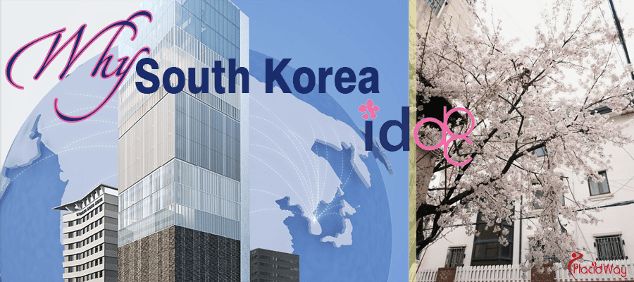 Cosmetic Surgery in Seoul, South Korea