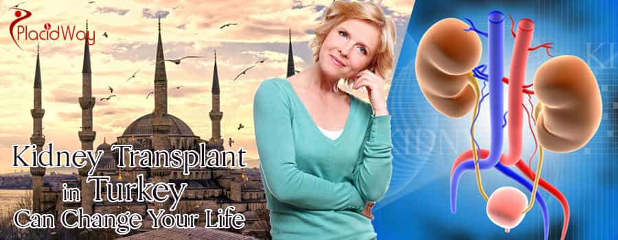 Kidney Transplant in Turkey for Foreigners Kidney Transplant in Turkey for Foreigners